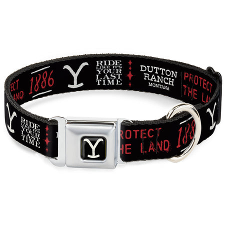 Yellowstone Dog Collar Y Logo Full Color Seatbelt Buckle Black and White - Paramount Shop