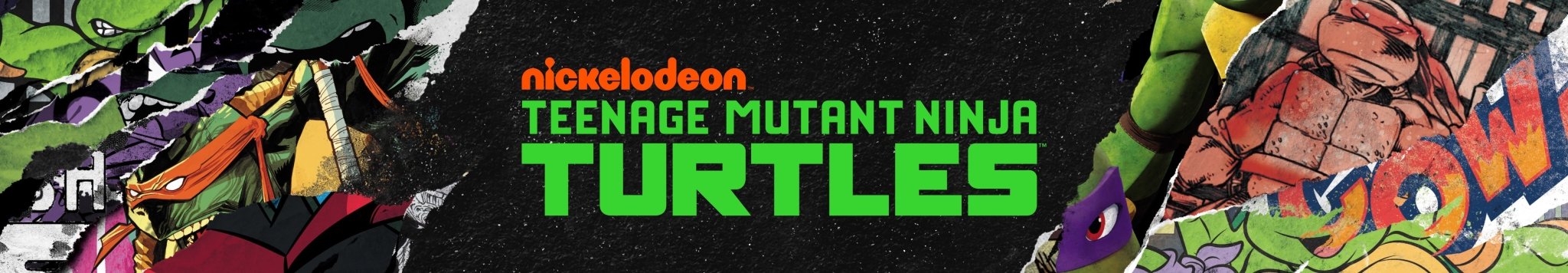 Teenage Mutant Ninja Turtles Fiestas