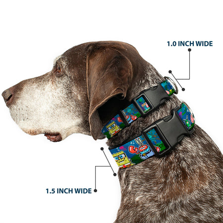 Older brown and white dog wears two Spongebob collars: one 1.0 inch wide, the other 1.5 inch wide.