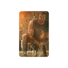 Gladiator II Lucius Sherpa-Decke - 37 in x 57 in