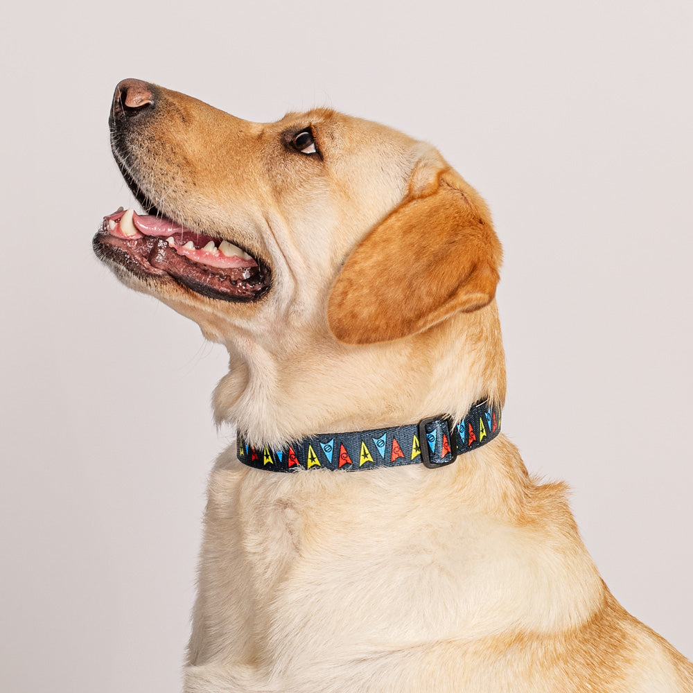 Star Trek Deltas Pet Collar
