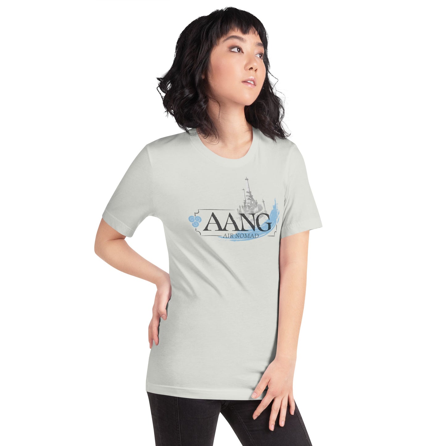 Avatar Aang: The Last Airbender T-Shirt Aang Air Nomad - Paramount Shop