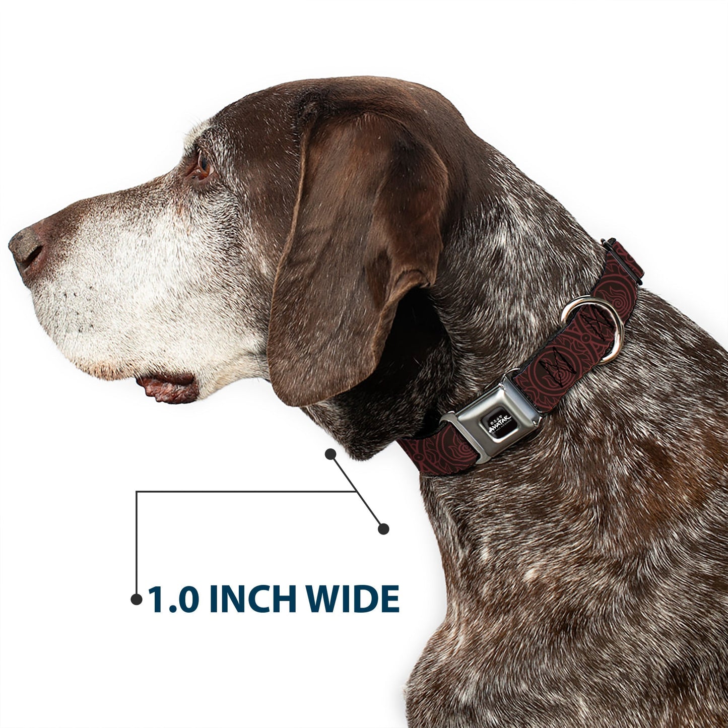 Avatar: Last Airbender Fire Element Seatbelt Buckle Dog Collar - Paramount Shop