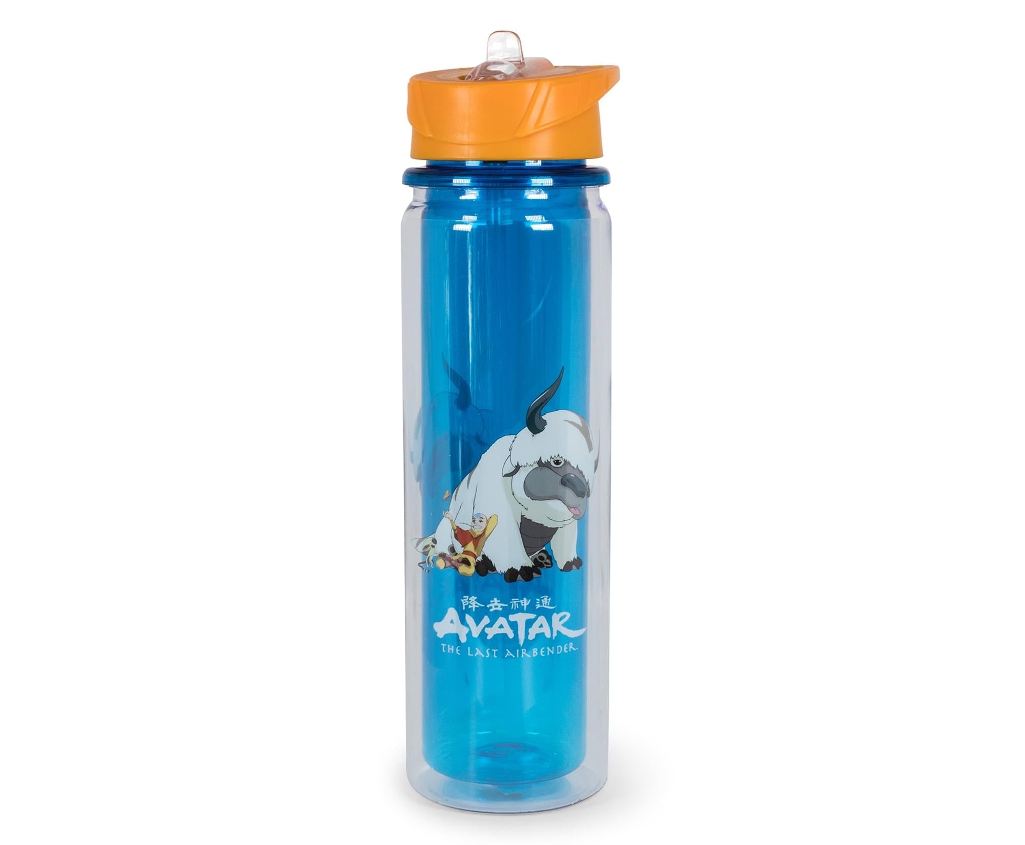 avatar-the-last-airbender-aang-and-appa-water-bottle-paramount-shop