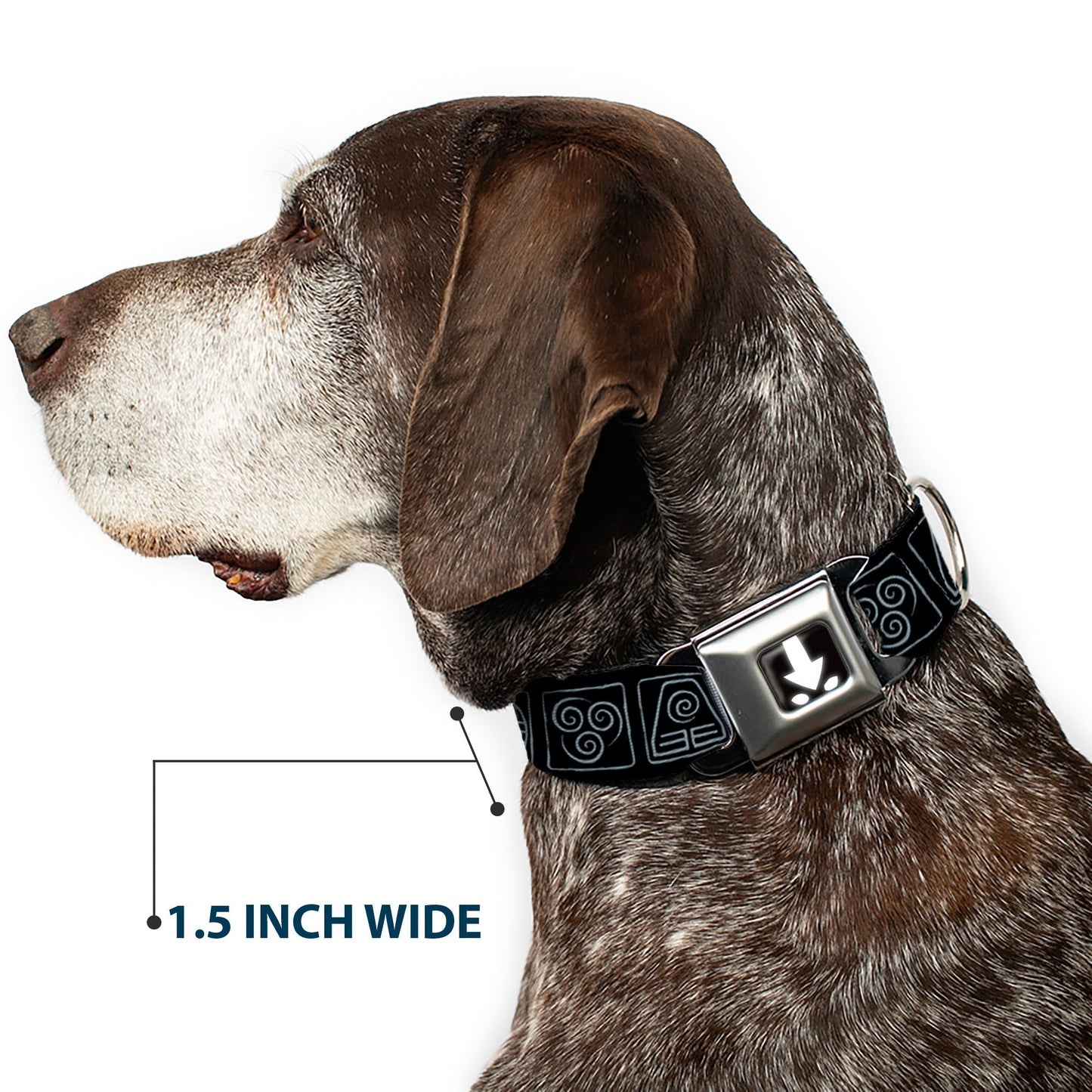 Avatar: The Last Airbender Aang Elements Seatbelt Dog Collar - Paramount Shop