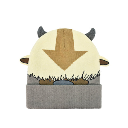 Avatar The Last Airbender Knitted Winter with Cuff Beanie Hat, Multi, One Size - Paramount Shop
