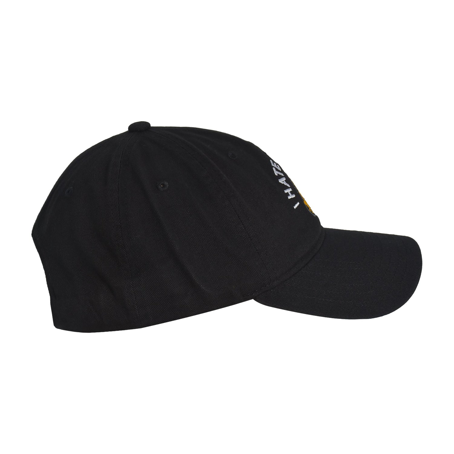 Concept One Unisex-Adult Garfield Dad Hat, Cotton Adjustable Baseball Cap with Curved Brim - Paramount Shop