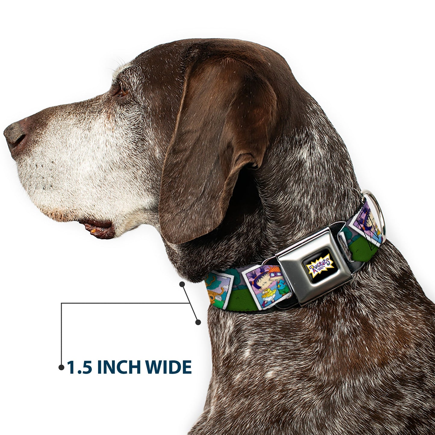 Rugrats Character Snapshots Seatbelt Buckle Dog Collar - Paramount Shop