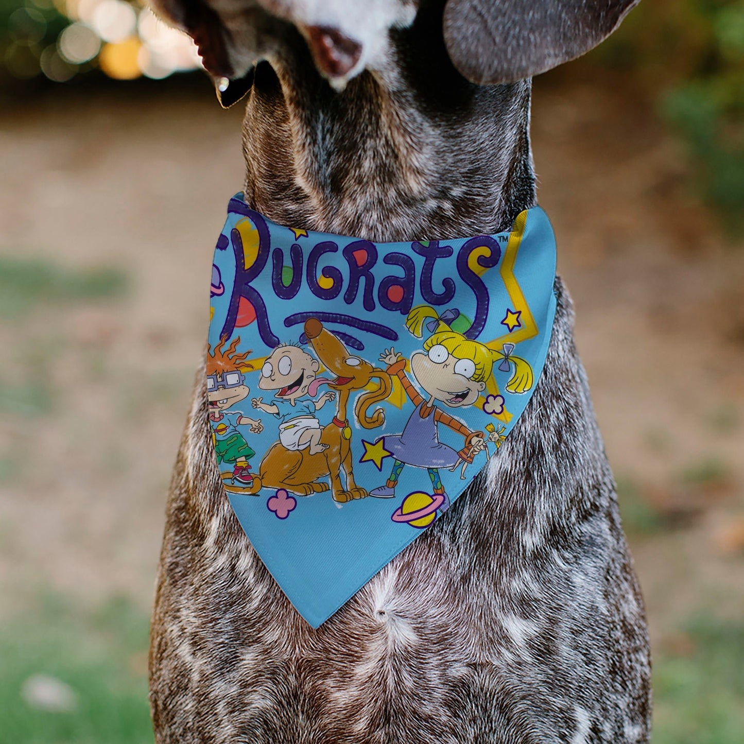 Rugrats Four Character Group Pose Light Blue Pet Bandana - Paramount Shop