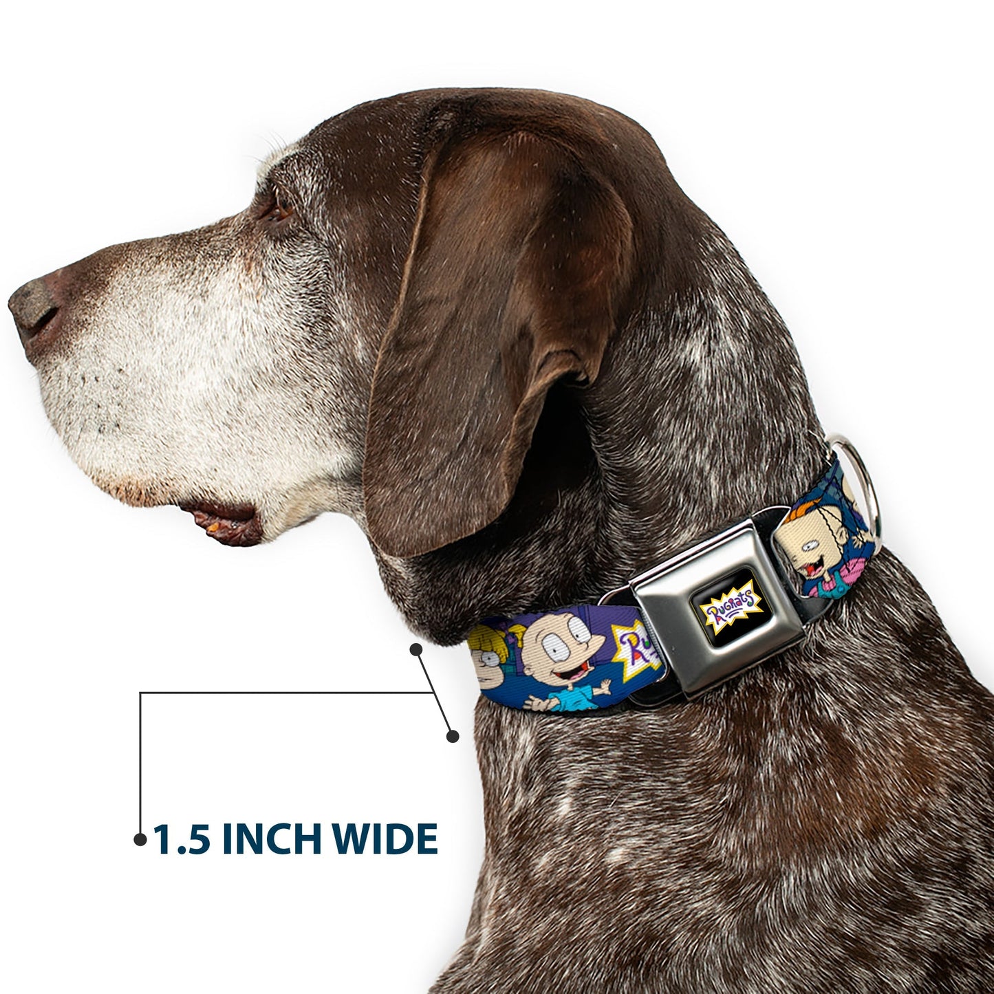 Rugrats Group Pose Seatbelt Buckle Pet Collar Merchandise - Paramount Shop
