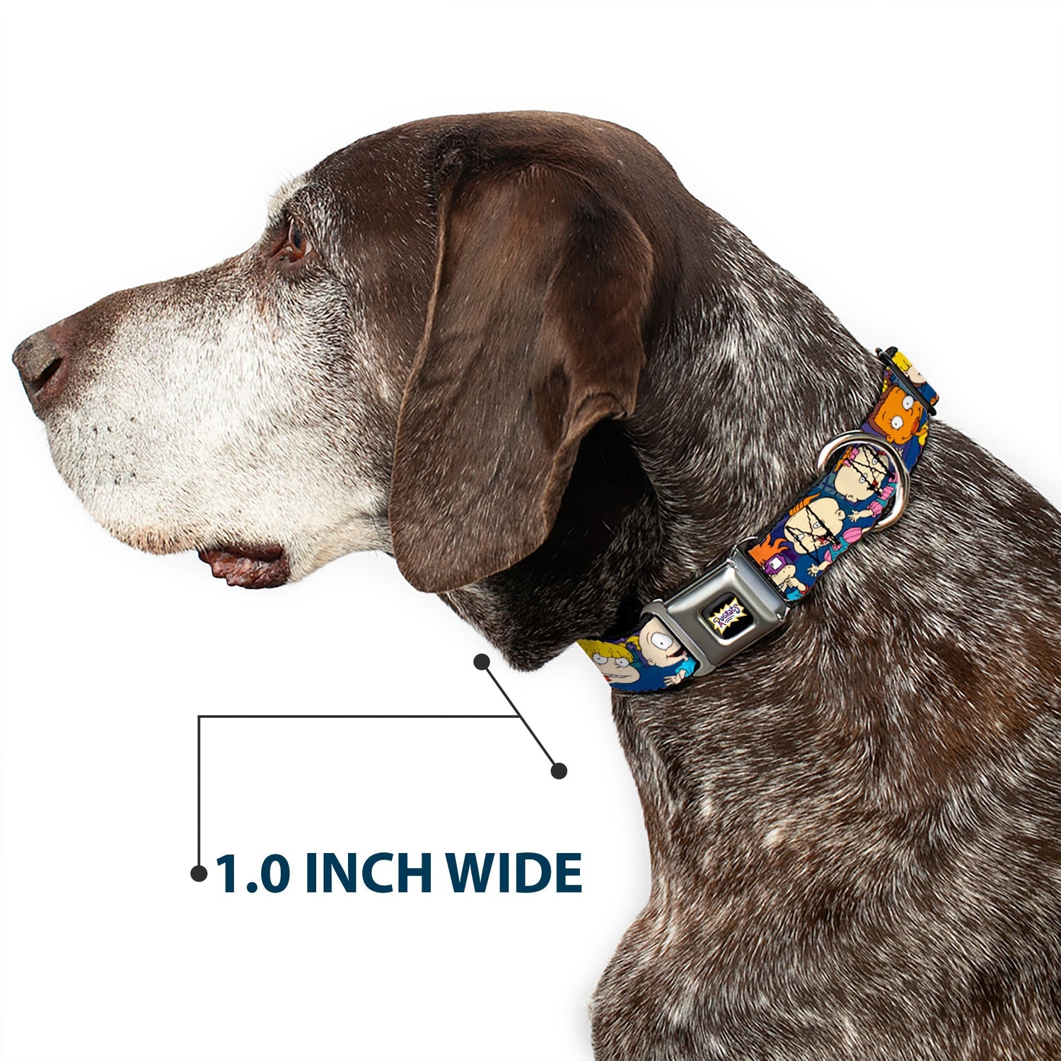 Rugrats Group Pose Seatbelt Buckle Pet Collar Merchandise - Paramount Shop