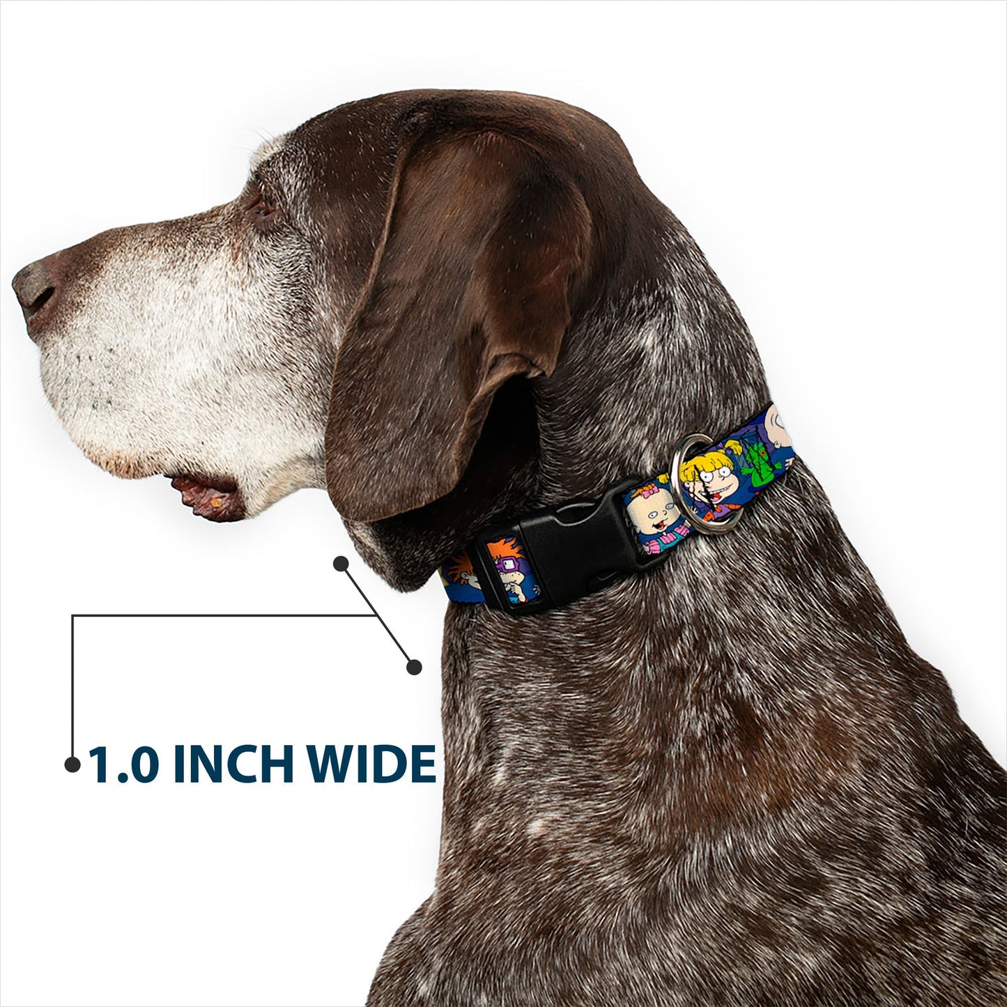 Rugrats Group Pose with Reptar Plastic Clip Pet Collar - Paramount Shop