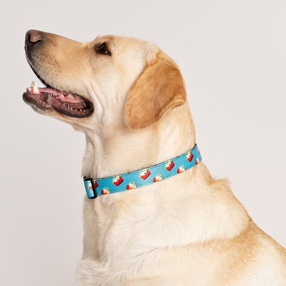 South Park Cartman Pet Collar - Paramount Shop