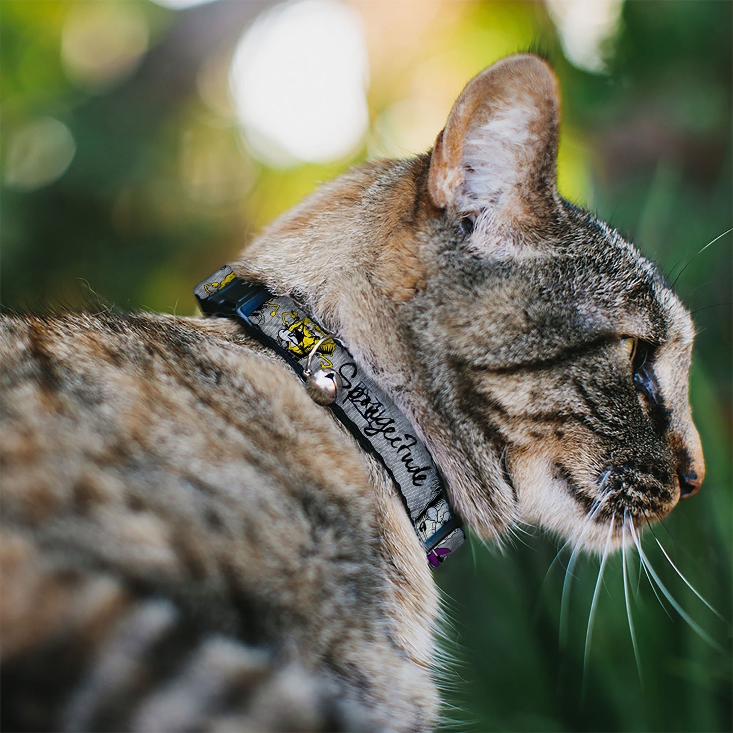 SpongeBob Cat Collar 3 - Poses SPONGEITUDE Breakaway Bell Grays Black - Paramount Shop