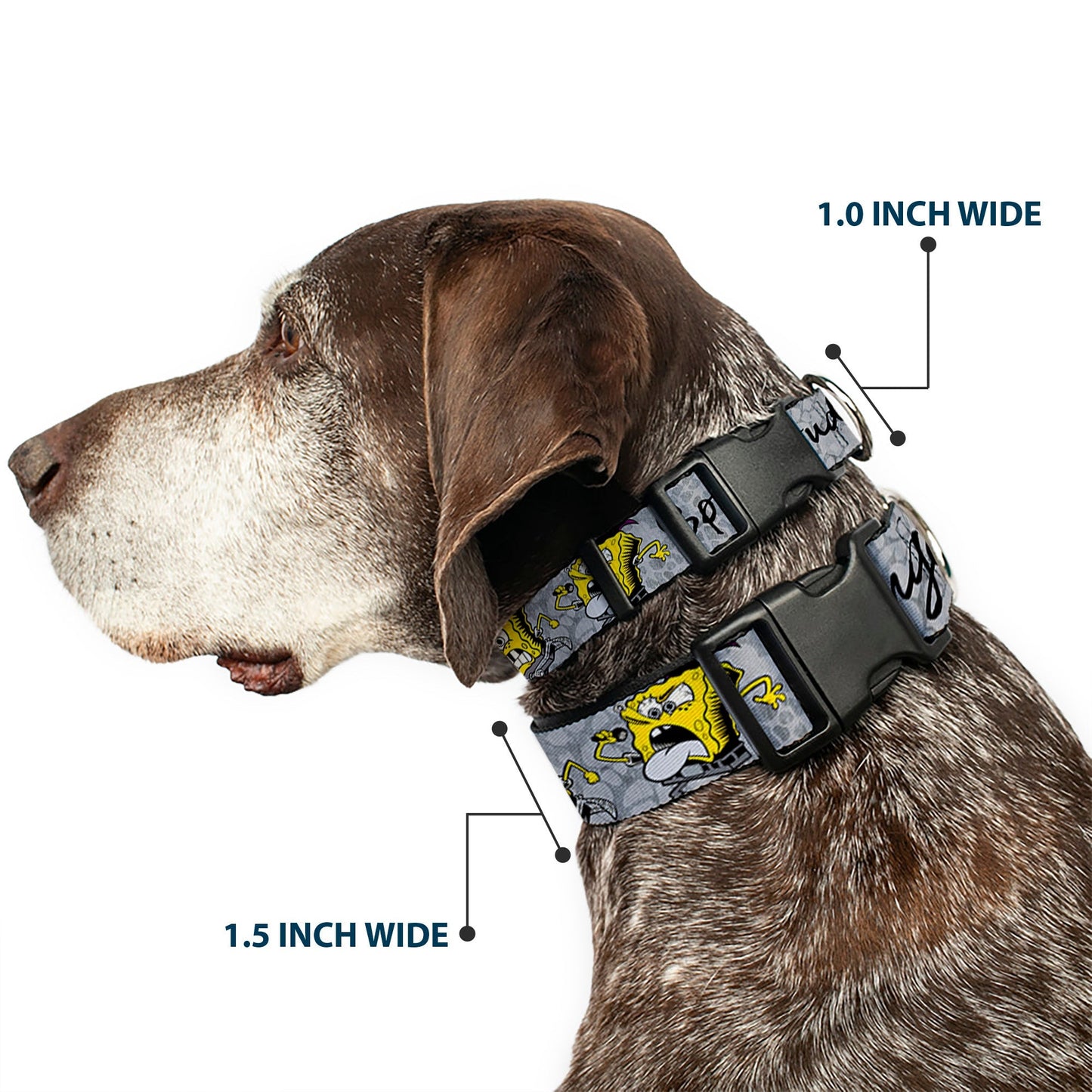 SpongeBob Dog Collar 3 - Poses SPONGEITUDE Plastic Clip Adjustable Grays/Black - Paramount Shop