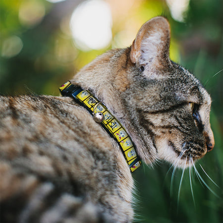 SpongeBob SquarePants Cat Collar 10 - Expressions Filmstrip Breakaway with Bell Yellow Black White - Paramount Shop