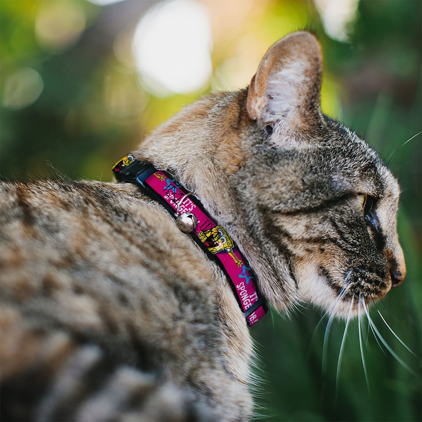 SpongeBob SquarePants Cat Collar Poses Stripe Breakaway with Bell Black Pink Blue White - Paramount Shop