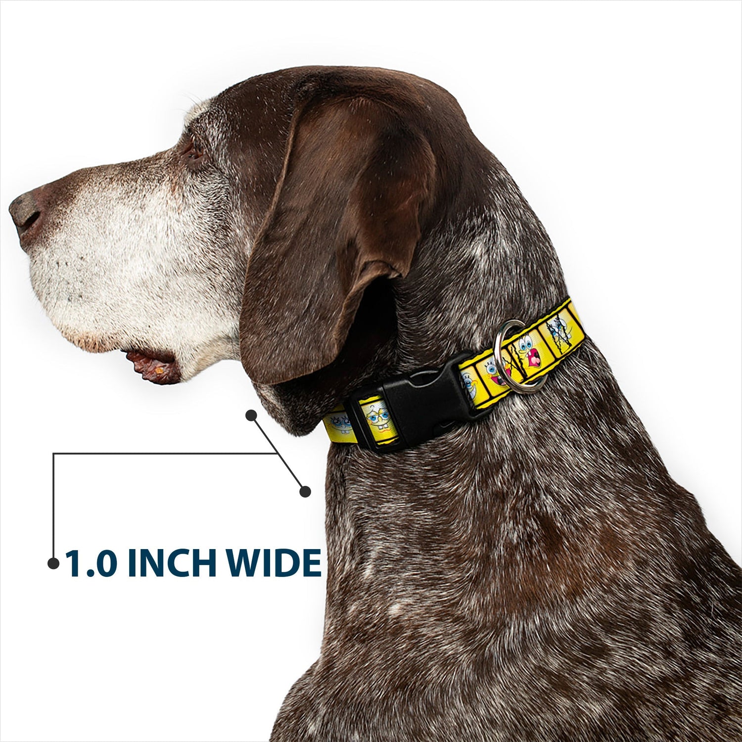 SpongeBob SquarePants Dog Collar 10 - Expressions Filmstrip Vibrant Yellows/Black/White - Paramount Shop
