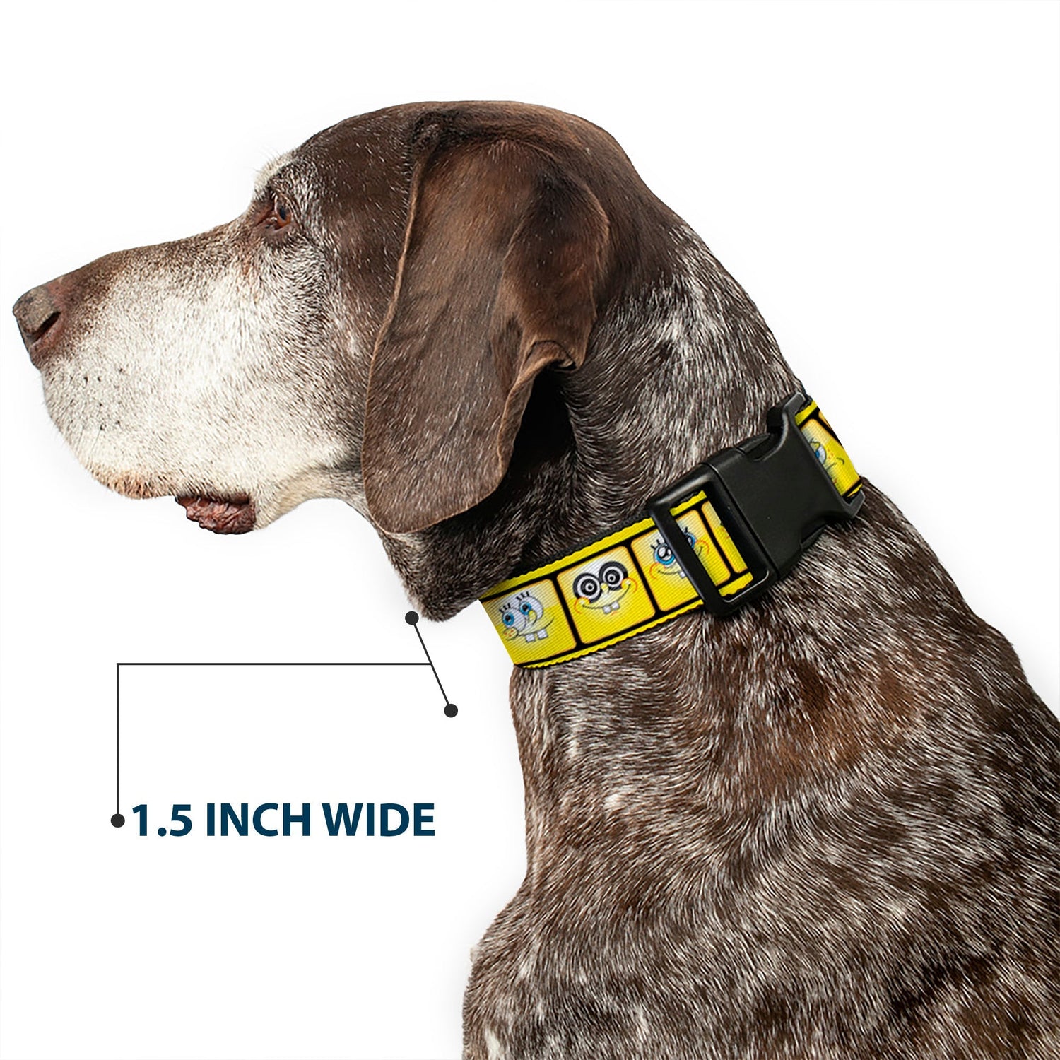 SpongeBob SquarePants Dog Collar 10 - Expressions Filmstrip Vibrant Yellows/Black/White - Paramount Shop