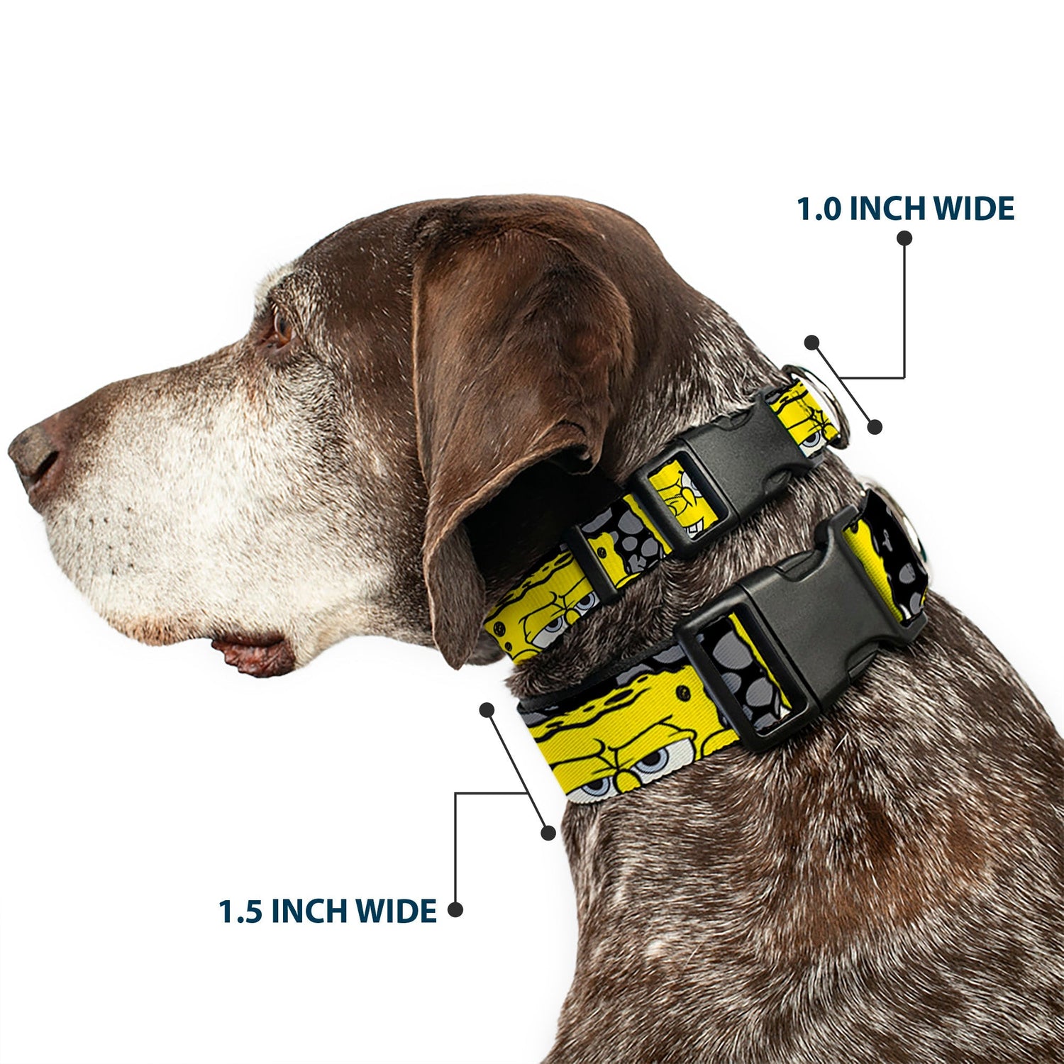 SpongeBob SquarePants Dog Collar 4 - CLOSE - UP Expressions Crackle Black/Gray/Yellow - Paramount Shop