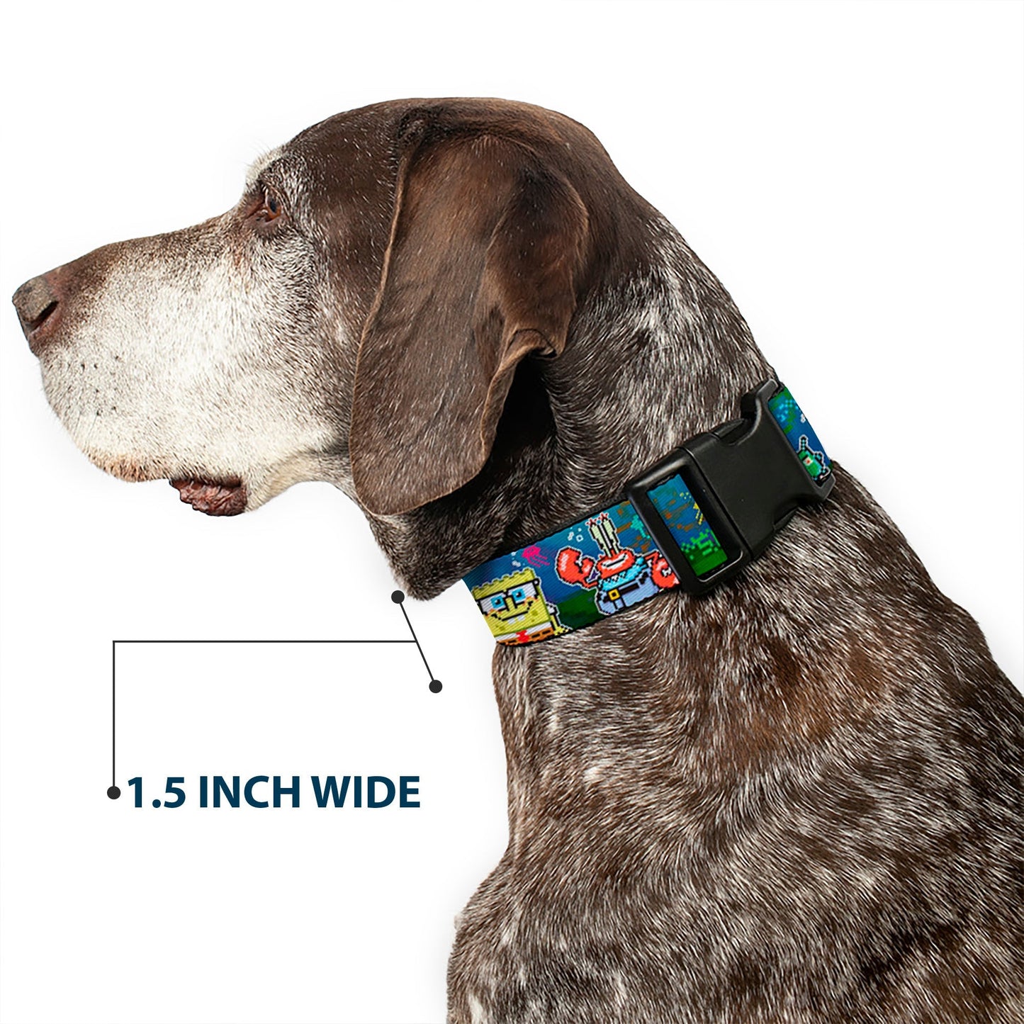 SpongeBob SquarePants Dog Collar 8 - Bit Scene Plastic Clip - Paramount Shop