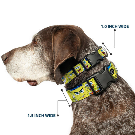 SpongeBob SquarePants Dog Collar Expressions Stripe Plastic Buckle Adjustable Blue - Paramount Shop
