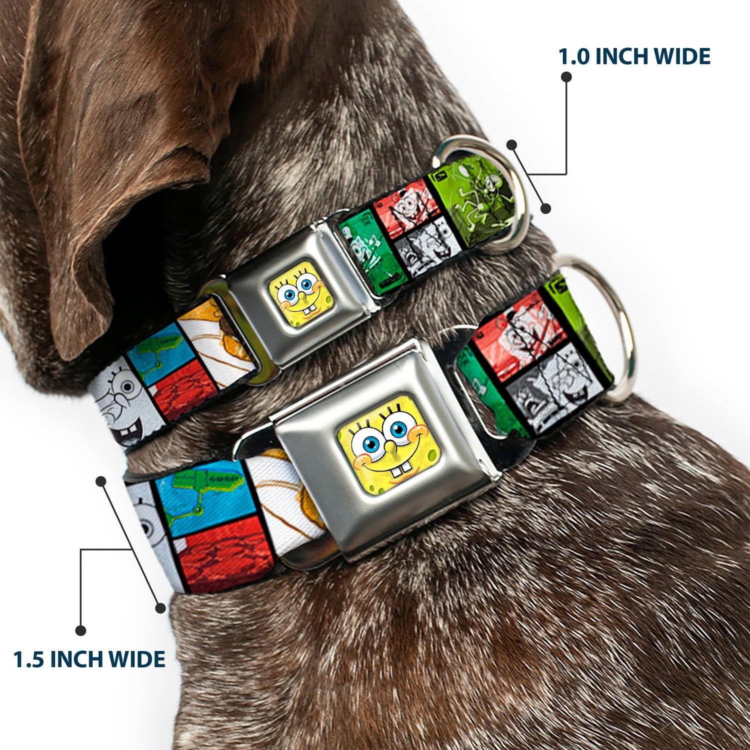 SpongeBob SquarePants Dog Collar Face Close - Up Seatbelt Buckle - Paramount Shop