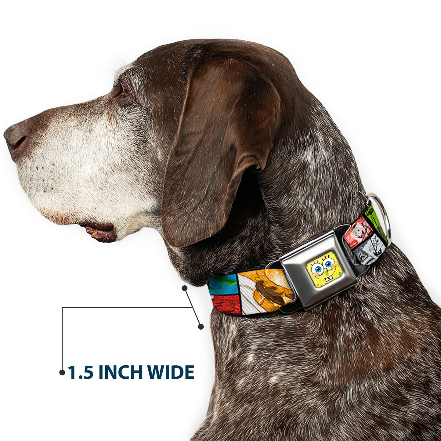 SpongeBob SquarePants Dog Collar Face Close - Up Seatbelt Buckle - Paramount Shop