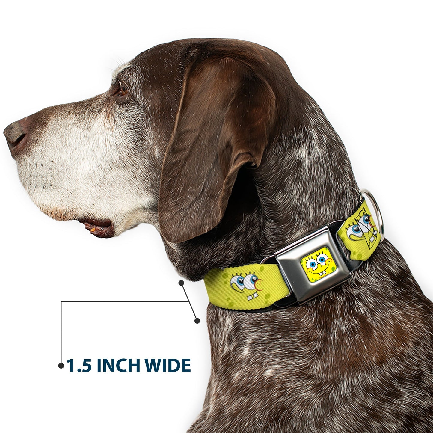 SpongeBob SquarePants Dog Collar Face Close - Up Seatbelt Buckle Yellow - Paramount Shop