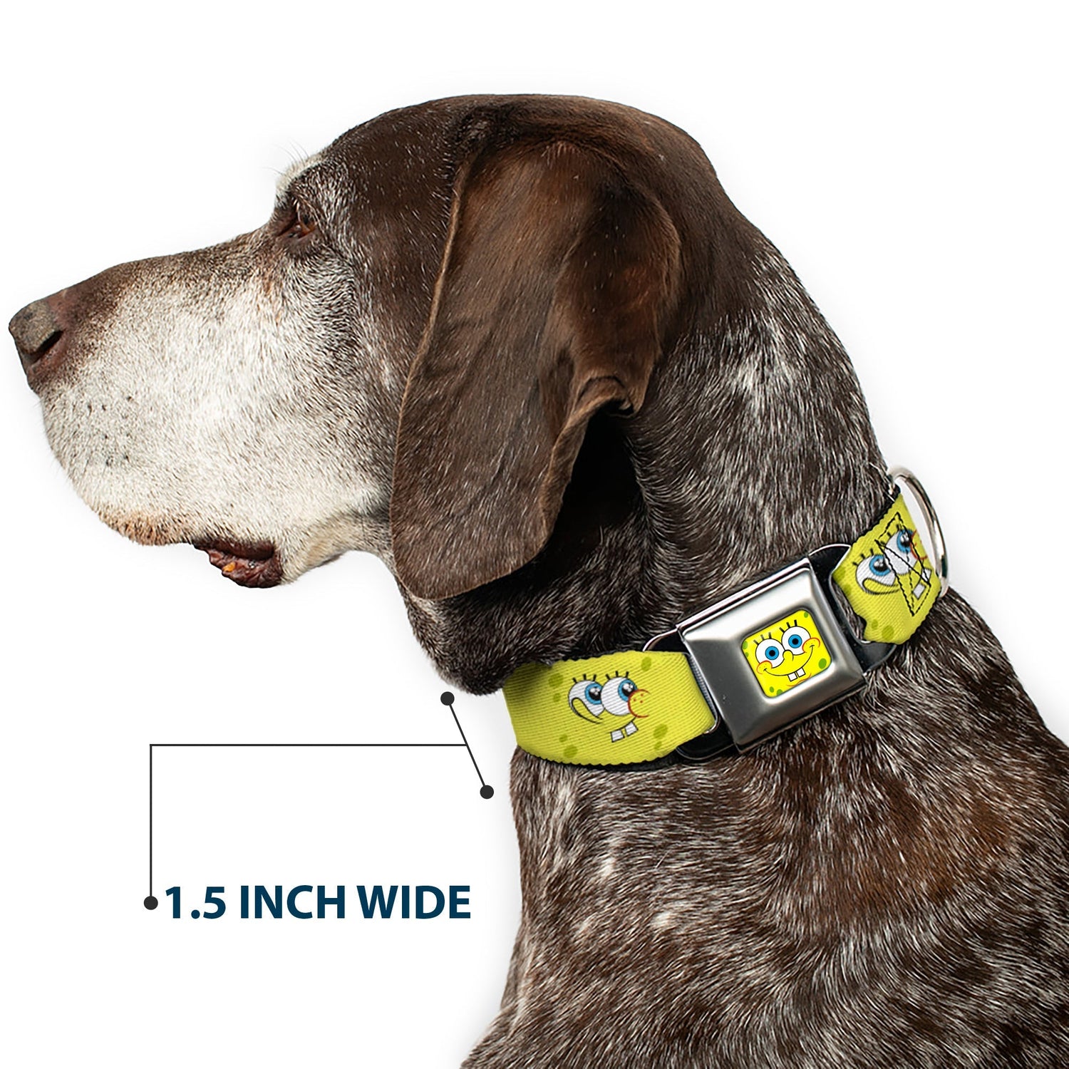 SpongeBob SquarePants Dog Collar Face Close - Up Seatbelt Buckle Yellow - Paramount Shop