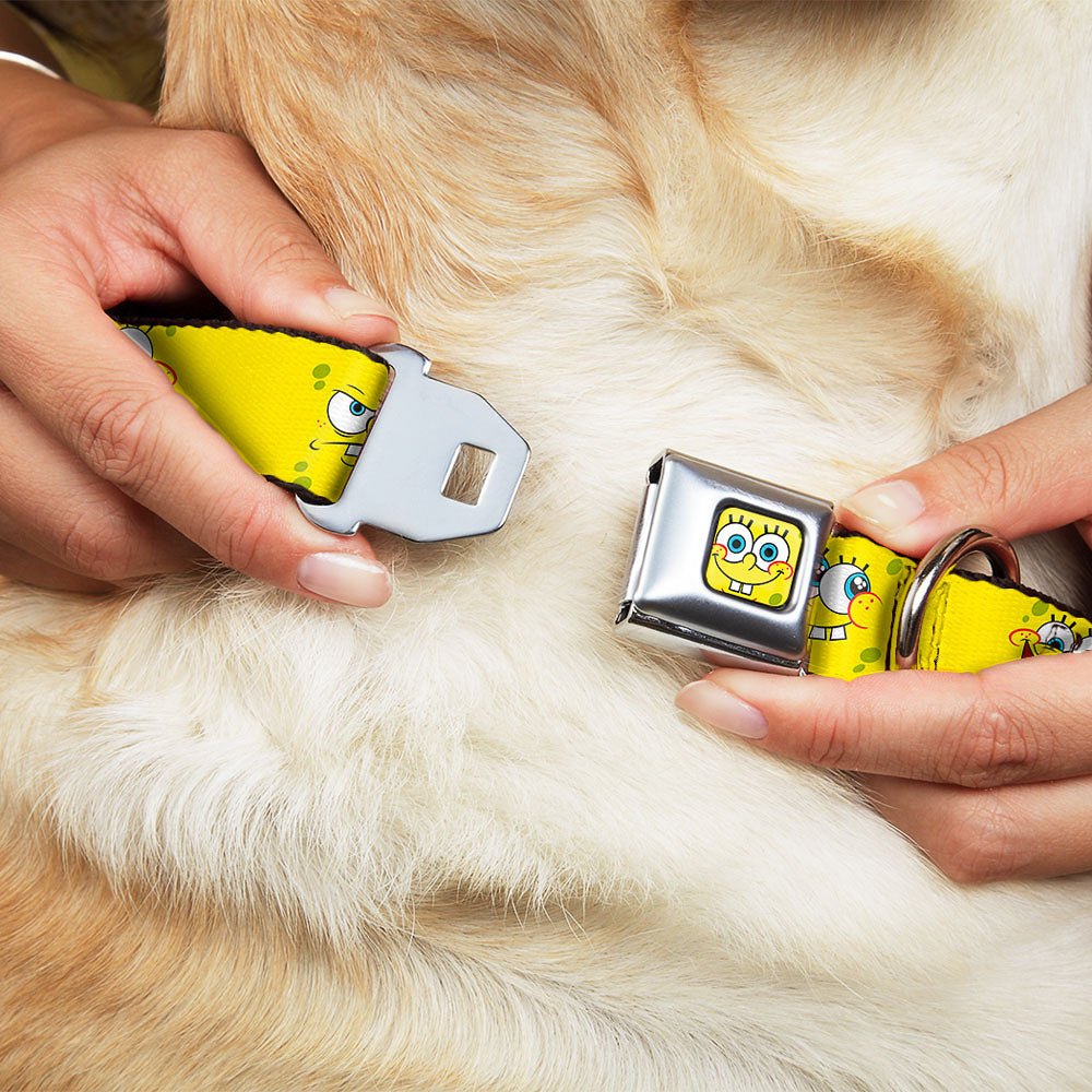 SpongeBob SquarePants Dog Collar Face Close - Up Seatbelt Buckle Yellow - Paramount Shop