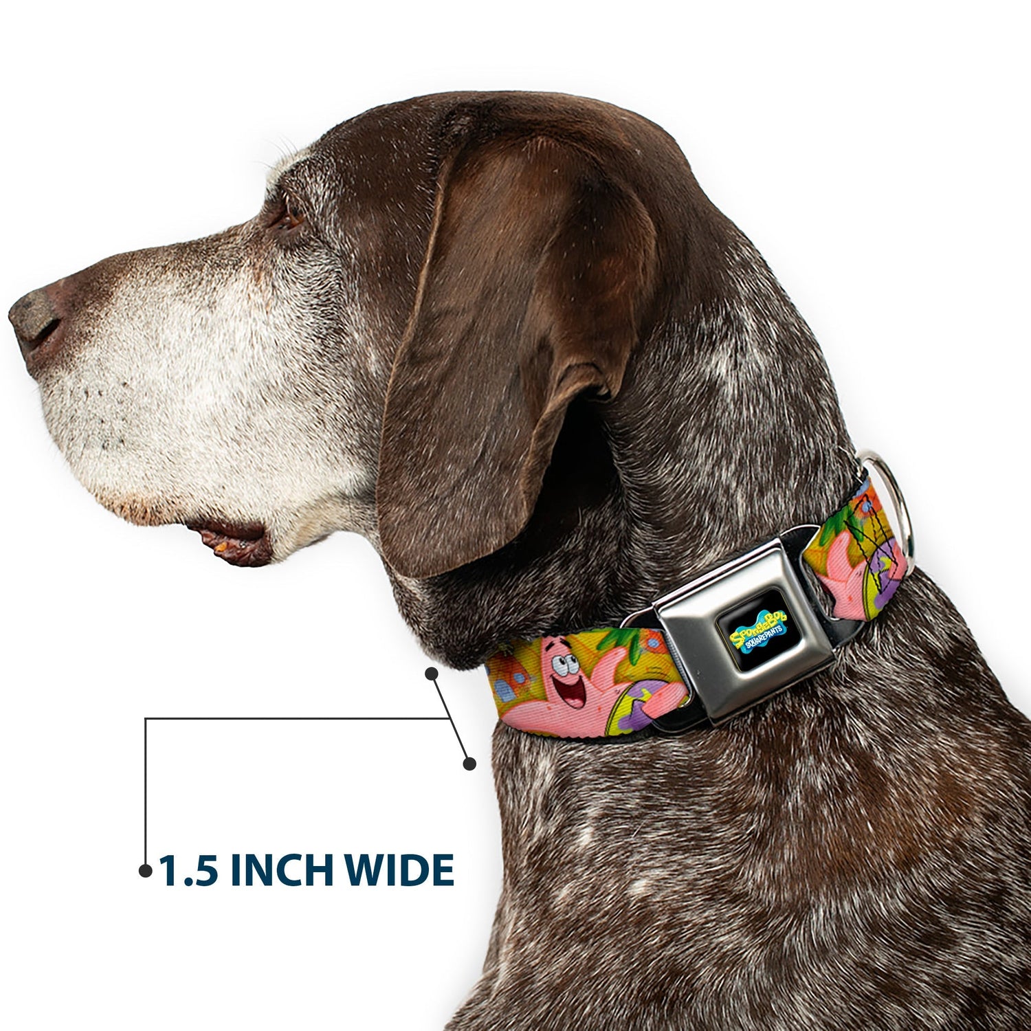 SpongeBob SquarePants Dog Collar Full Color SpongeBob & Patrick Poses Seatbelt Buckle Black - Paramount Shop