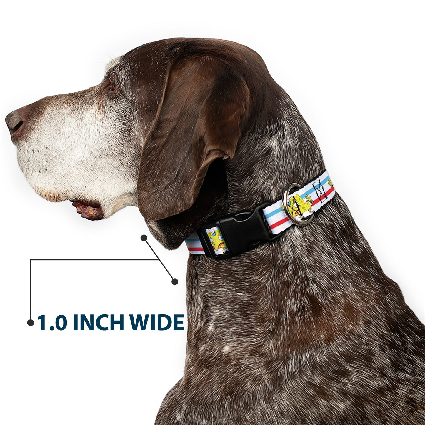 SpongeBob SquarePants Dog Collar Mocking Pose Stripe White/Blue/Red Plastic Clip - Paramount Shop
