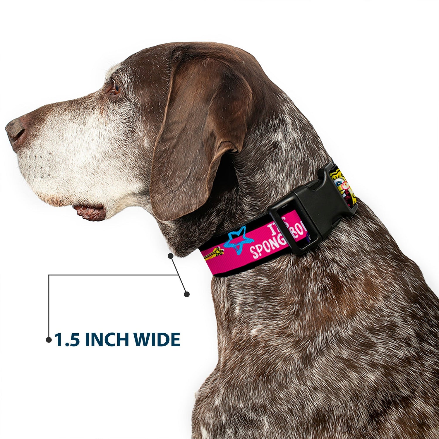 SpongeBob SquarePants Dog Collar Pose Stripe Plastic Clip Black/Pink/Blue/White Adjustable - Paramount Shop