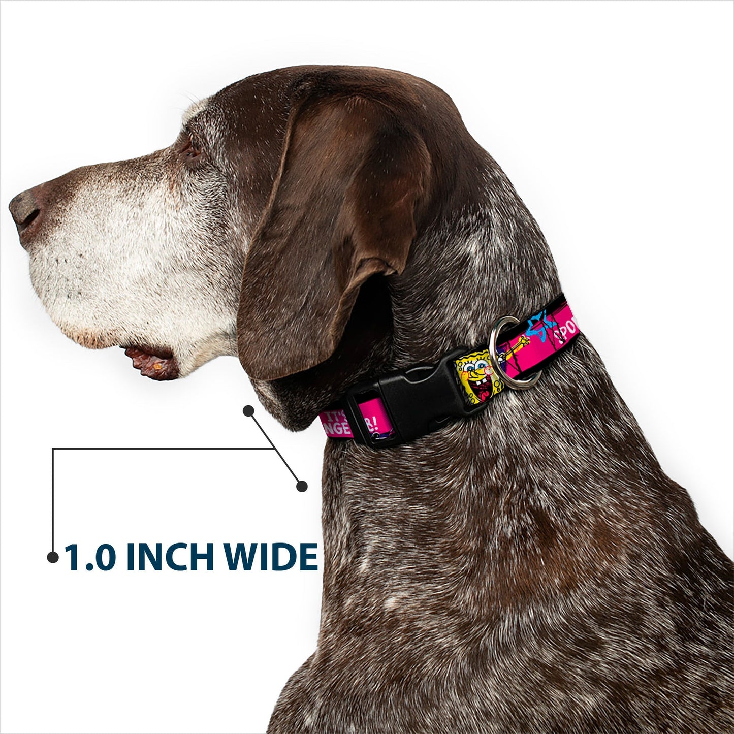 SpongeBob SquarePants Dog Collar Pose Stripe Plastic Clip Black/Pink/Blue/White Adjustable - Paramount Shop