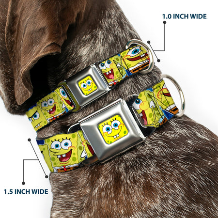 SpongeBob SquarePants Dog Collar SpongeBob Face Close - Up Expressions Stripe Seatbelt Buckle Blue - Paramount Shop