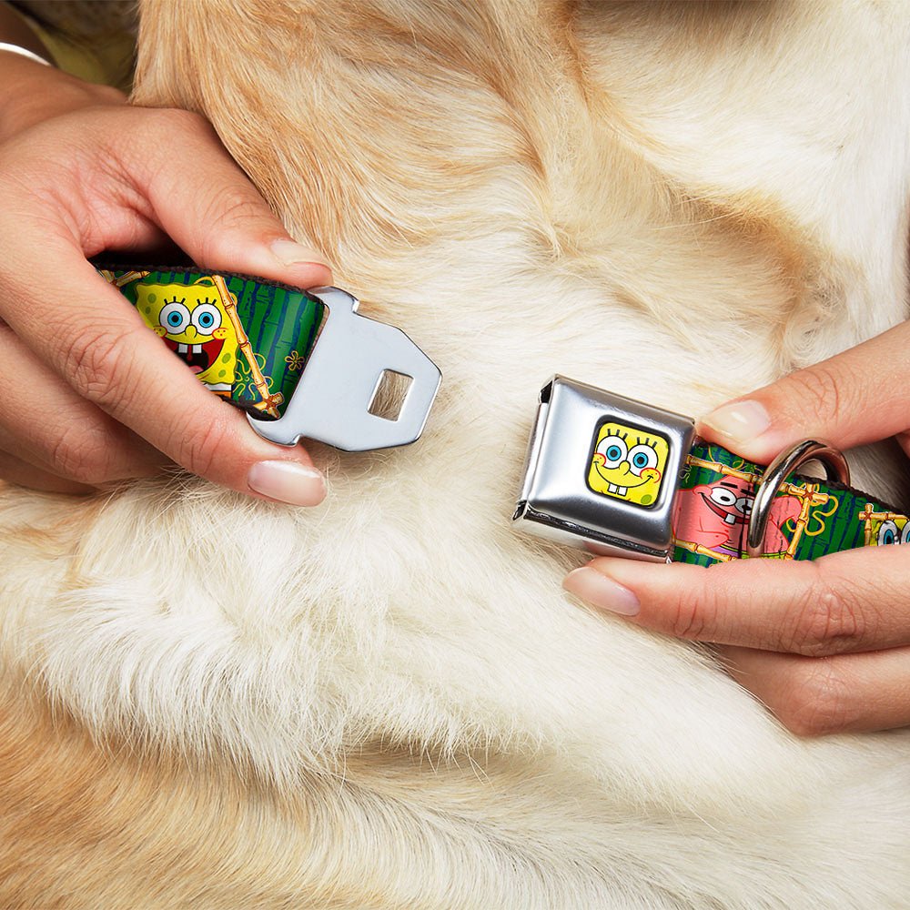 SpongeBob SquarePants Dog Collar SpongeBob Face Close - Up Full Color Seatbelt Buckle - Paramount Shop