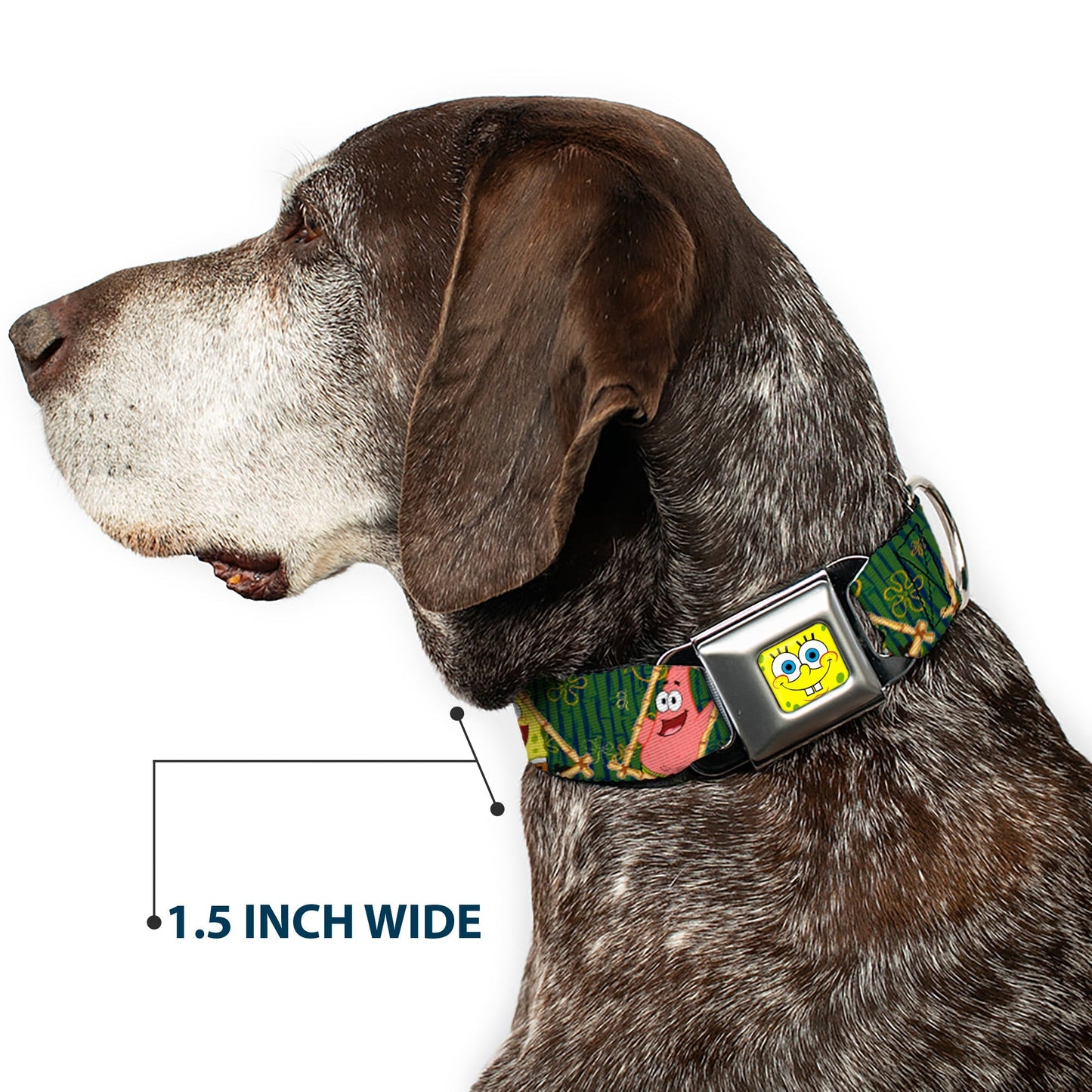 SpongeBob SquarePants Dog Collar SpongeBob Face Close - Up Full Color Seatbelt Buckle - Paramount Shop