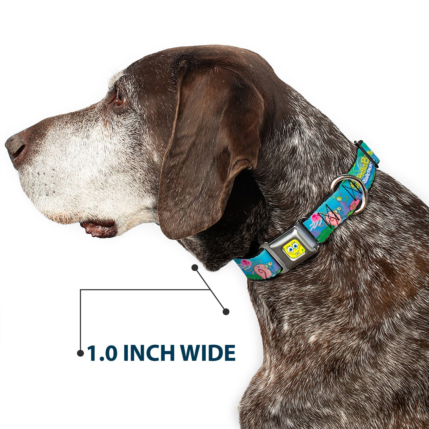 SpongeBob SquarePants Dog Collar SpongeBob Face Close - Up Seatbelt Buckle - Paramount Shop