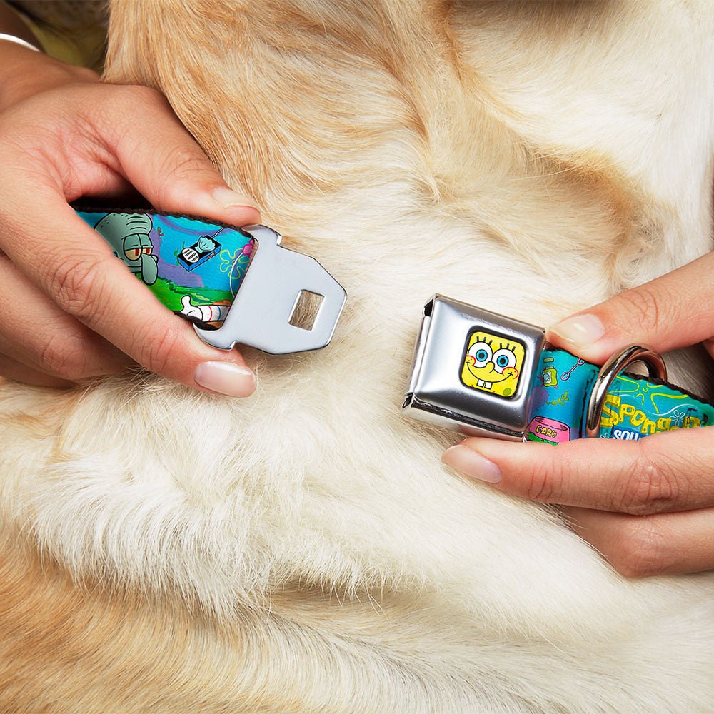 SpongeBob SquarePants Dog Collar SpongeBob Face Close - Up Seatbelt Buckle - Paramount Shop