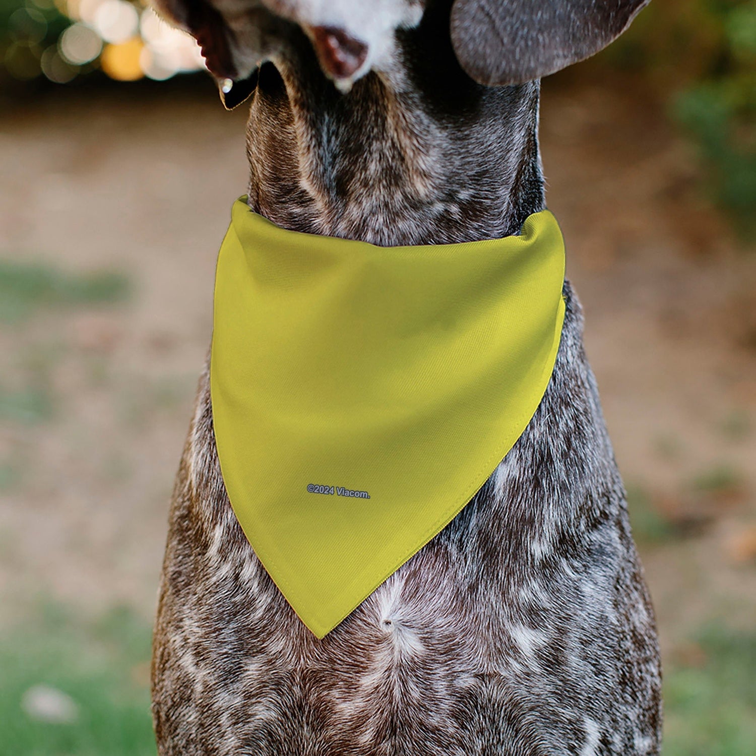 SpongeBob SquarePants Pet Bandana Chain Pose Slips Over Collar Yellow - Paramount Shop