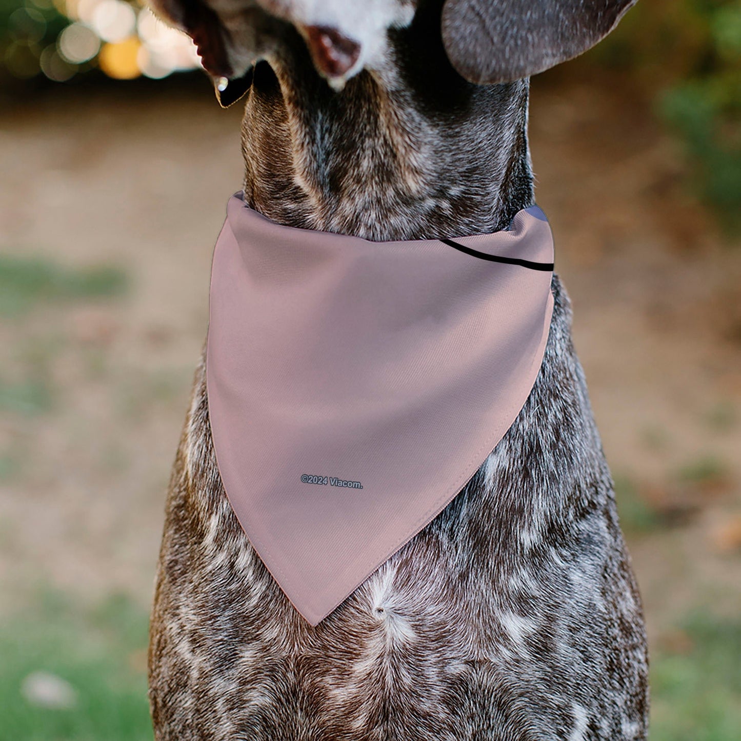 SpongeBob SquarePants Pet Bandana Gary the Snail Face Close - Up Pink - Paramount Shop