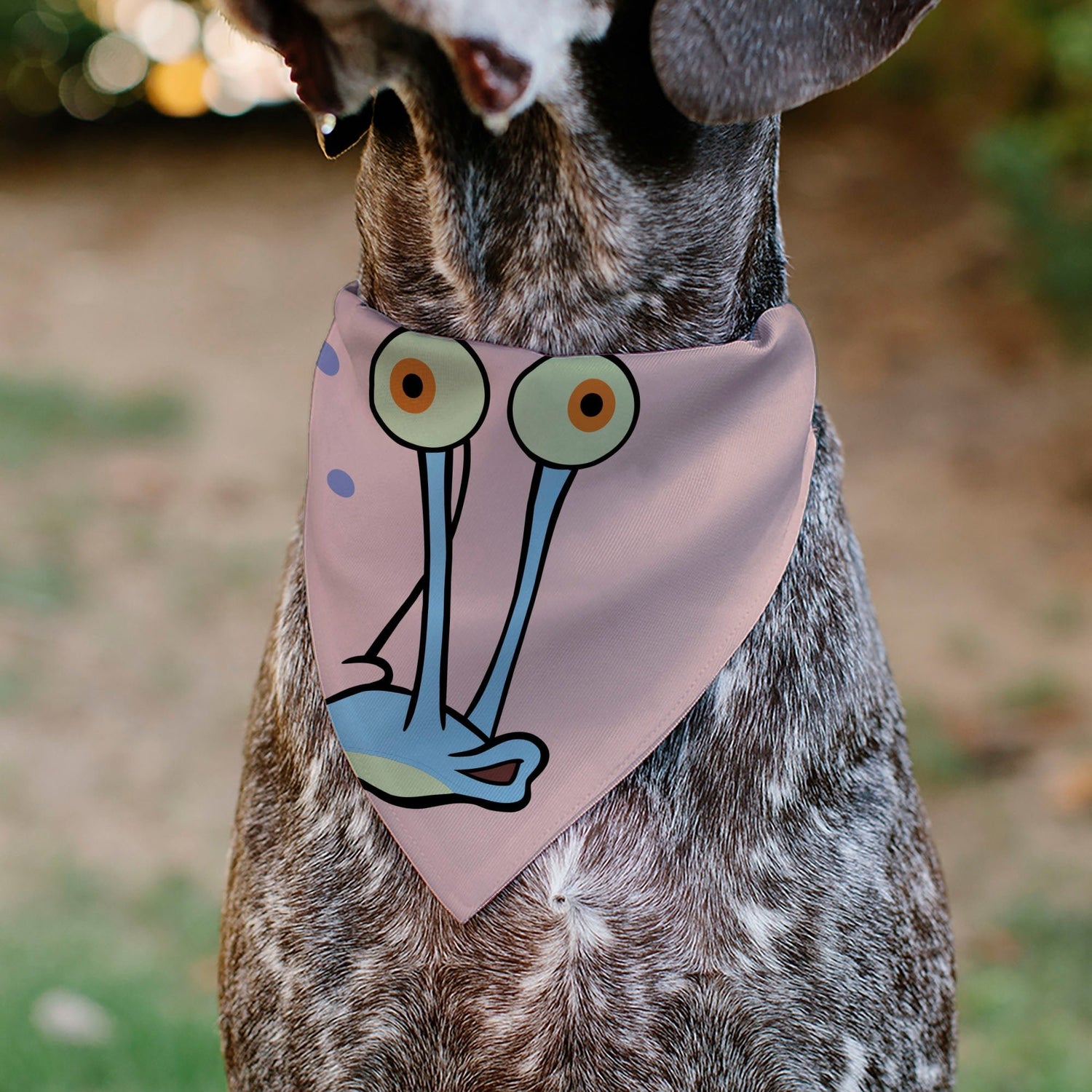 SpongeBob SquarePants Pet Bandana Gary the Snail Face Close - Up Pink - Paramount Shop