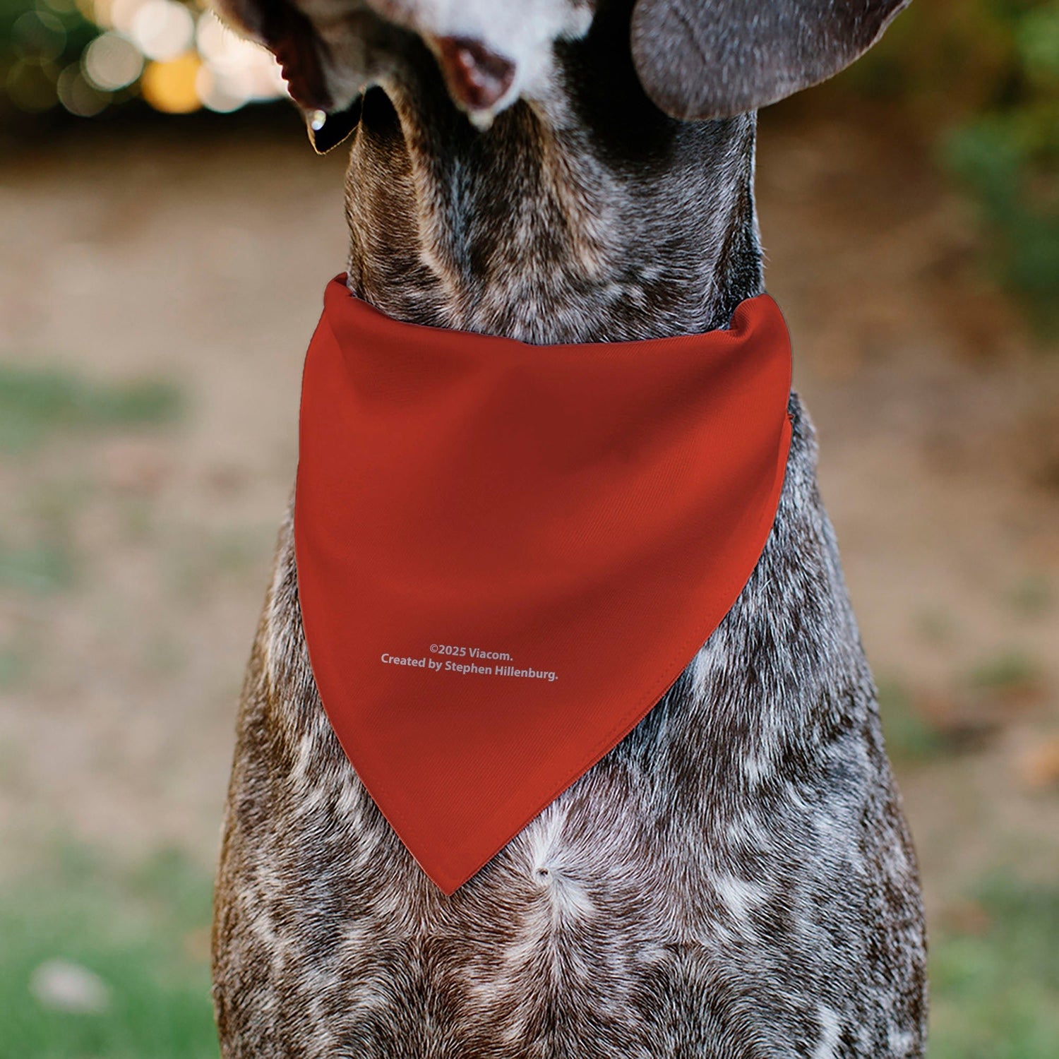 SpongeBob SquarePants Pet Bandana Mr. Krabs Close - Up Red Over - the - Collar - Paramount Shop
