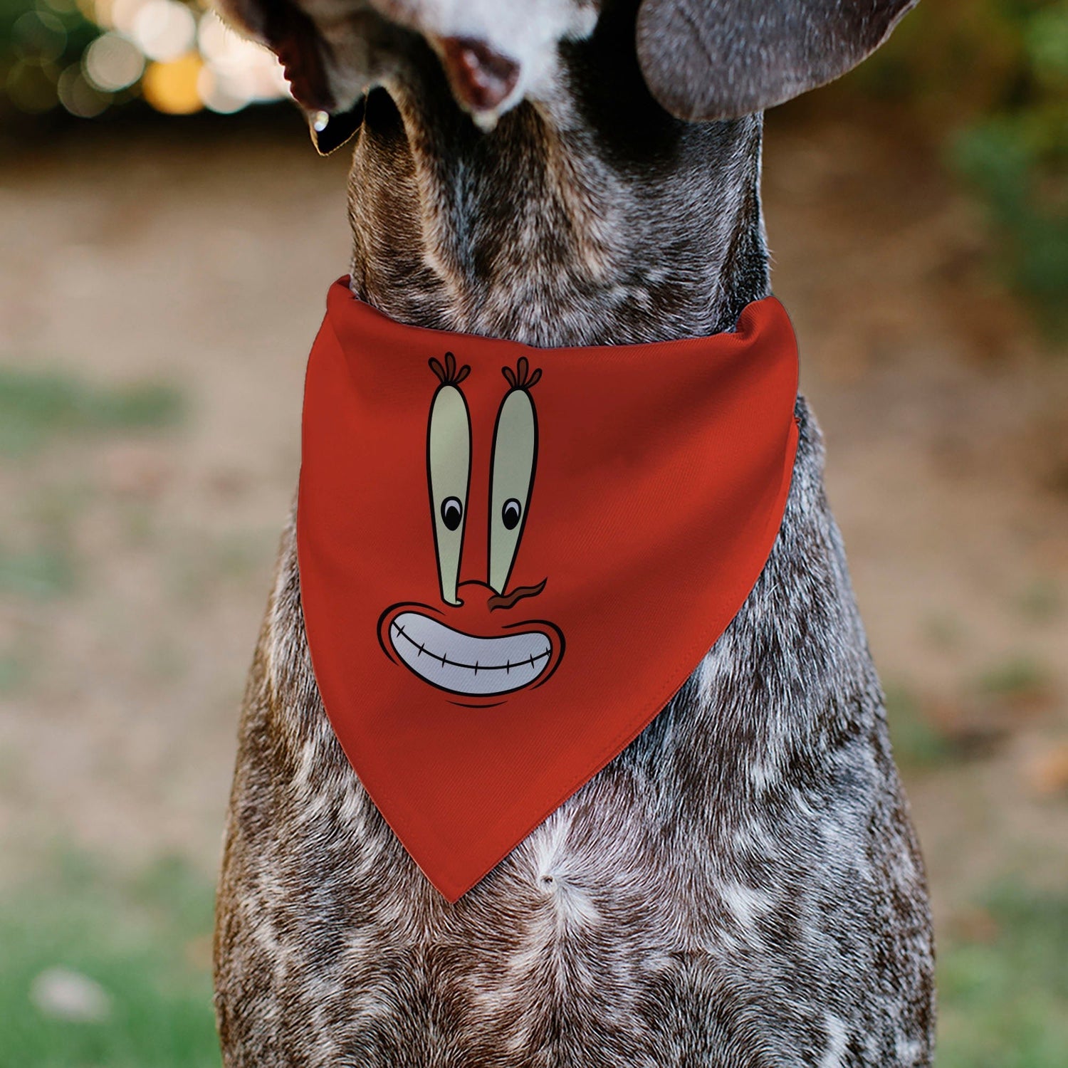 SpongeBob SquarePants Pet Bandana Mr. Krabs Close - Up Red Over - the - Collar - Paramount Shop