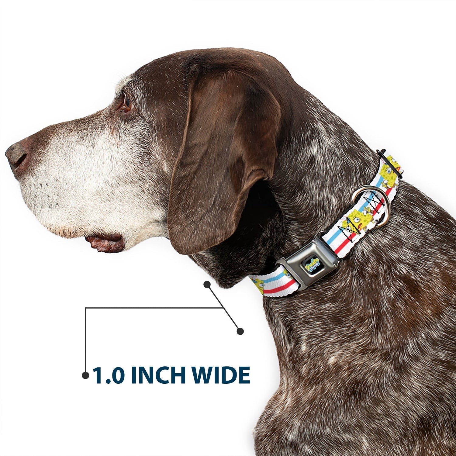 SpongeBob SquarePants Seatbelt Dog Collar Mocking SpongeBob Pose Stripe Black Full Color - Paramount Shop