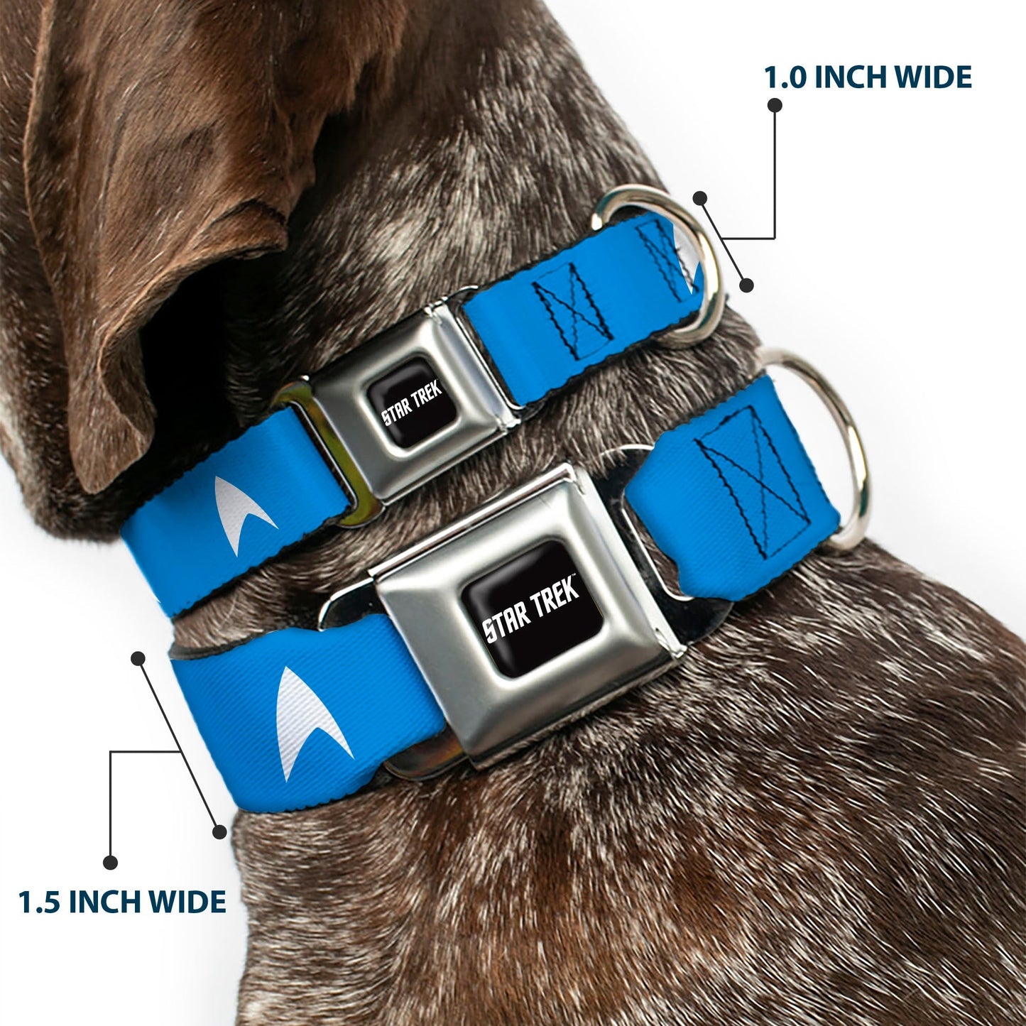Star Trek Starfleet Insignia Seatbelt Buckle Dog Collar - Paramount Shop