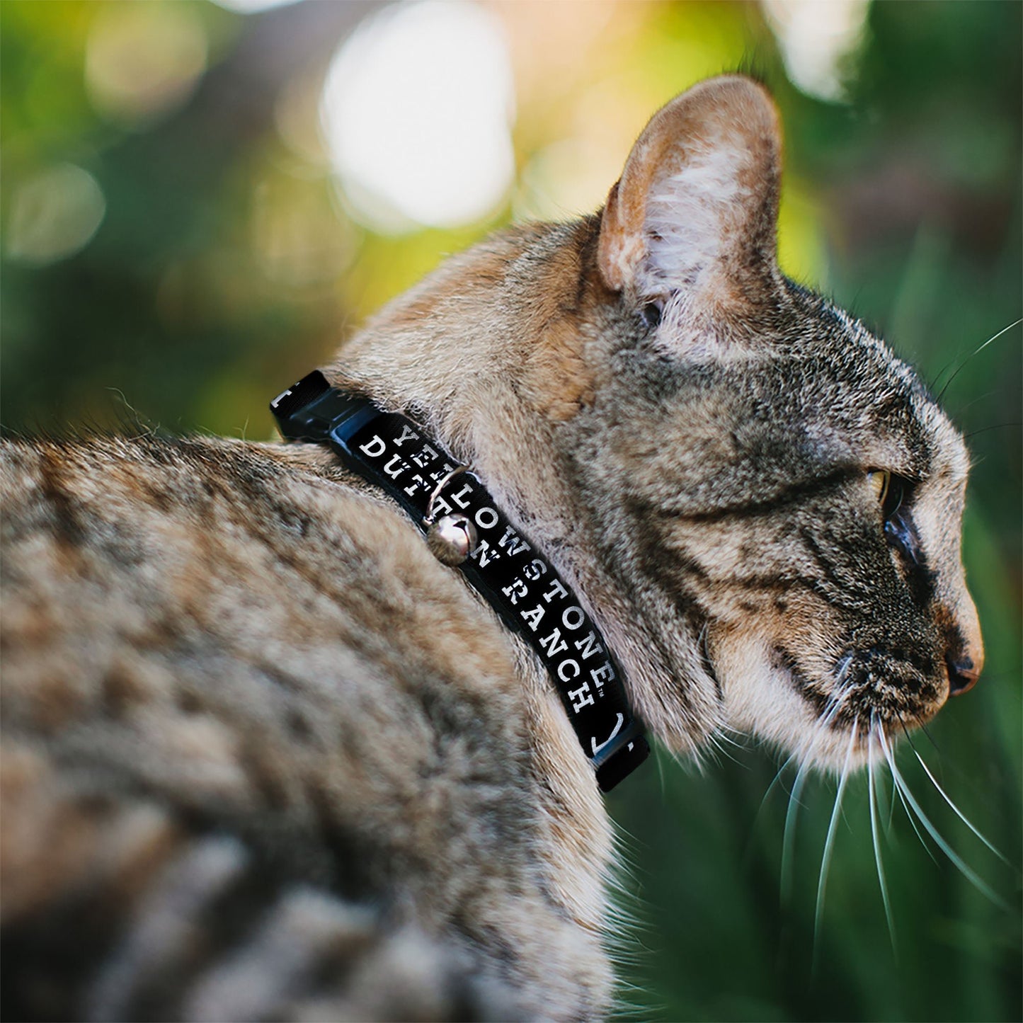 Close up of Yellowstone Y Brand Logo on Black Polyester Cat Collar