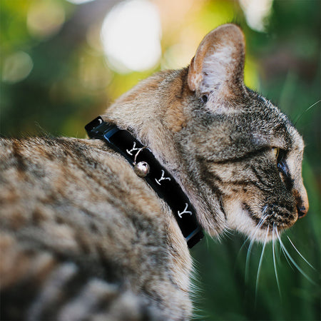 Yellowstone Cat Collar Y Logo Breakaway with Bell Black/White - Paramount Shop