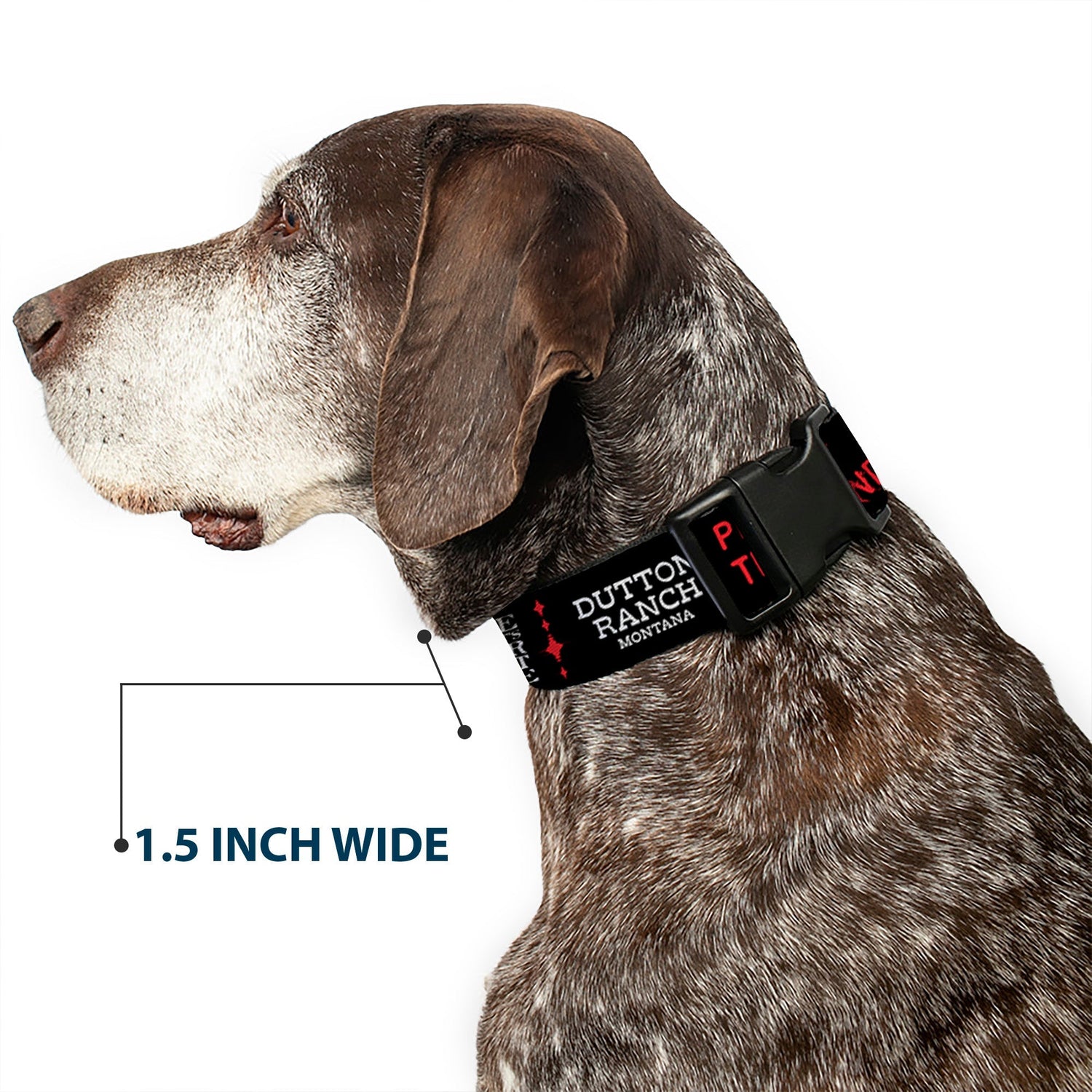 Full view of the Yellowstone Dutton Ranch 1886 icons dog collar